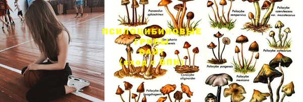 кокаин перу Абинск